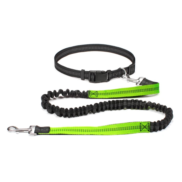 Hand Free Dog Leash for Pet Walking Running Jogging