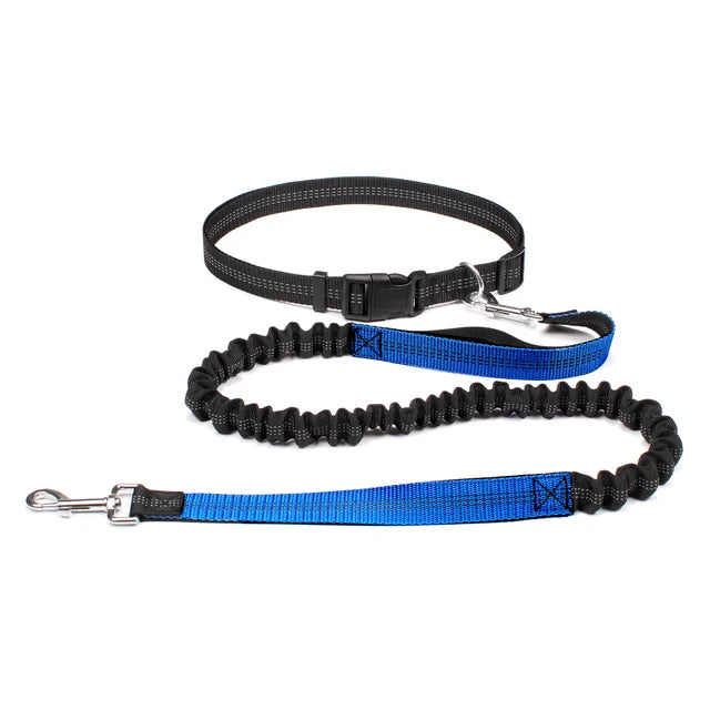 Hand Free Dog Leash for Pet Walking Running Jogging