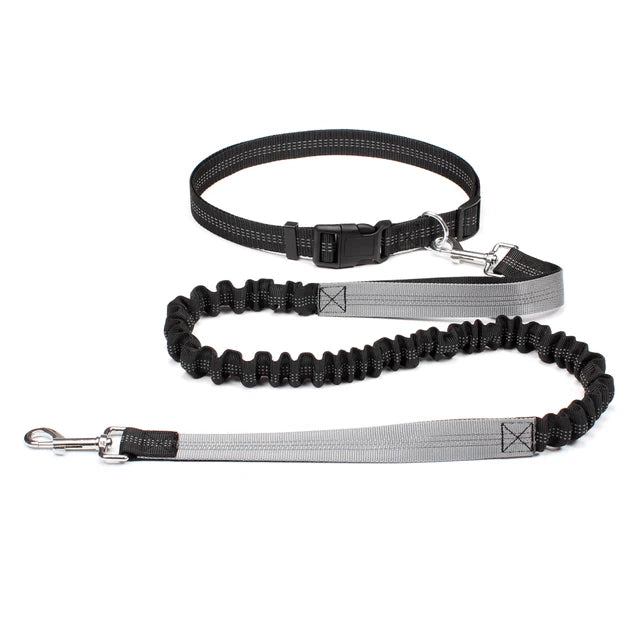 Hand Free Dog Leash for Pet Walking Running Jogging