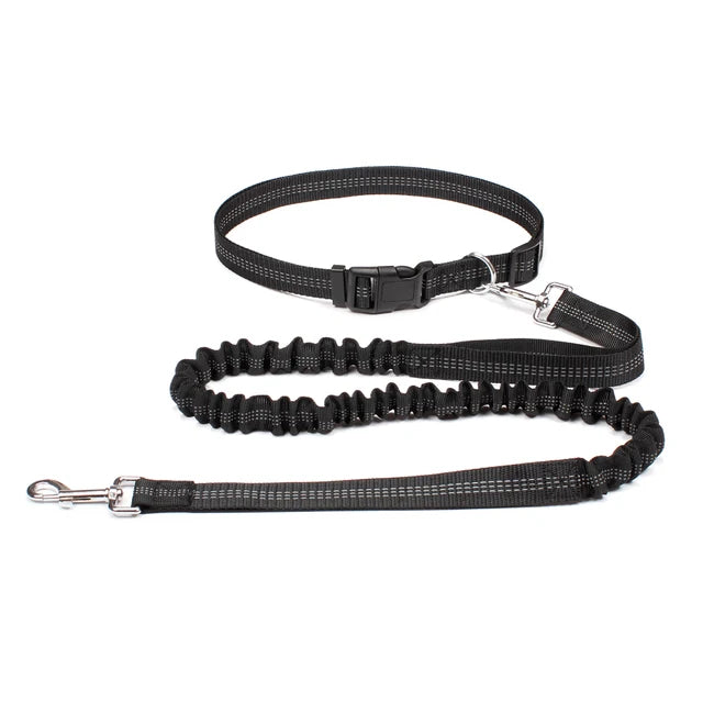 Hand Free Dog Leash for Pet Walking Running Jogging