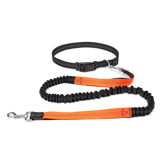 Hand Free Dog Leash for Pet Walking Running Jogging