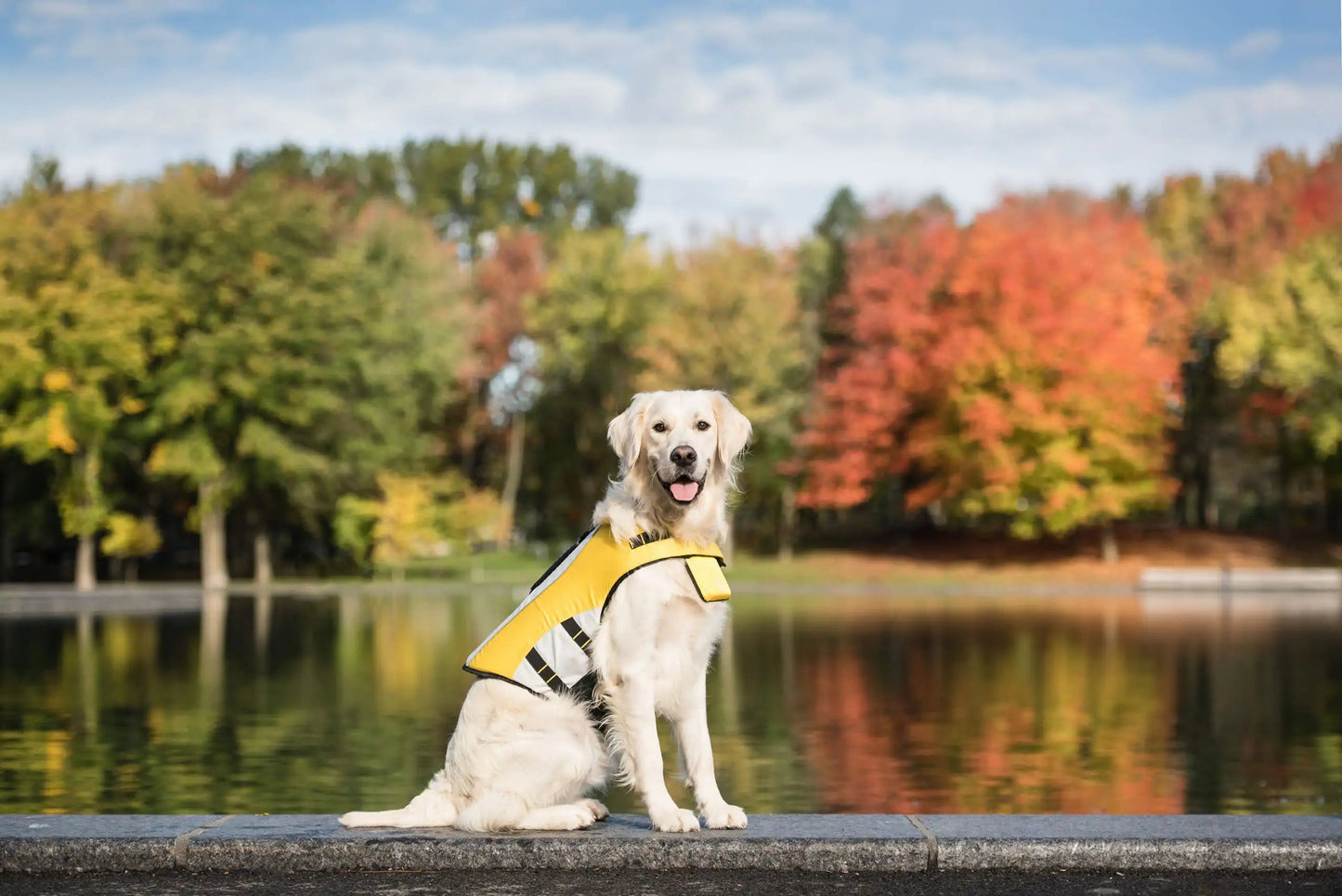 Pup Guardian Safety Vest