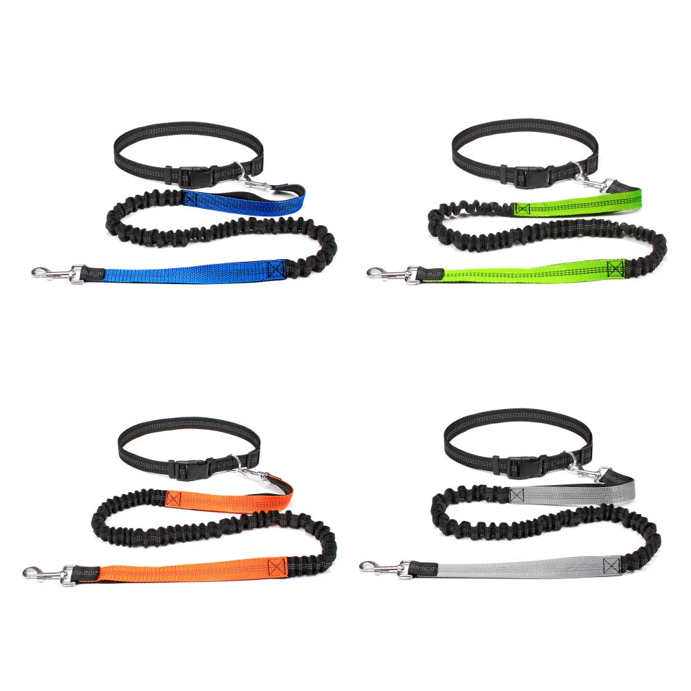 Hand Free Dog Leash for Pet Walking Running Jogging