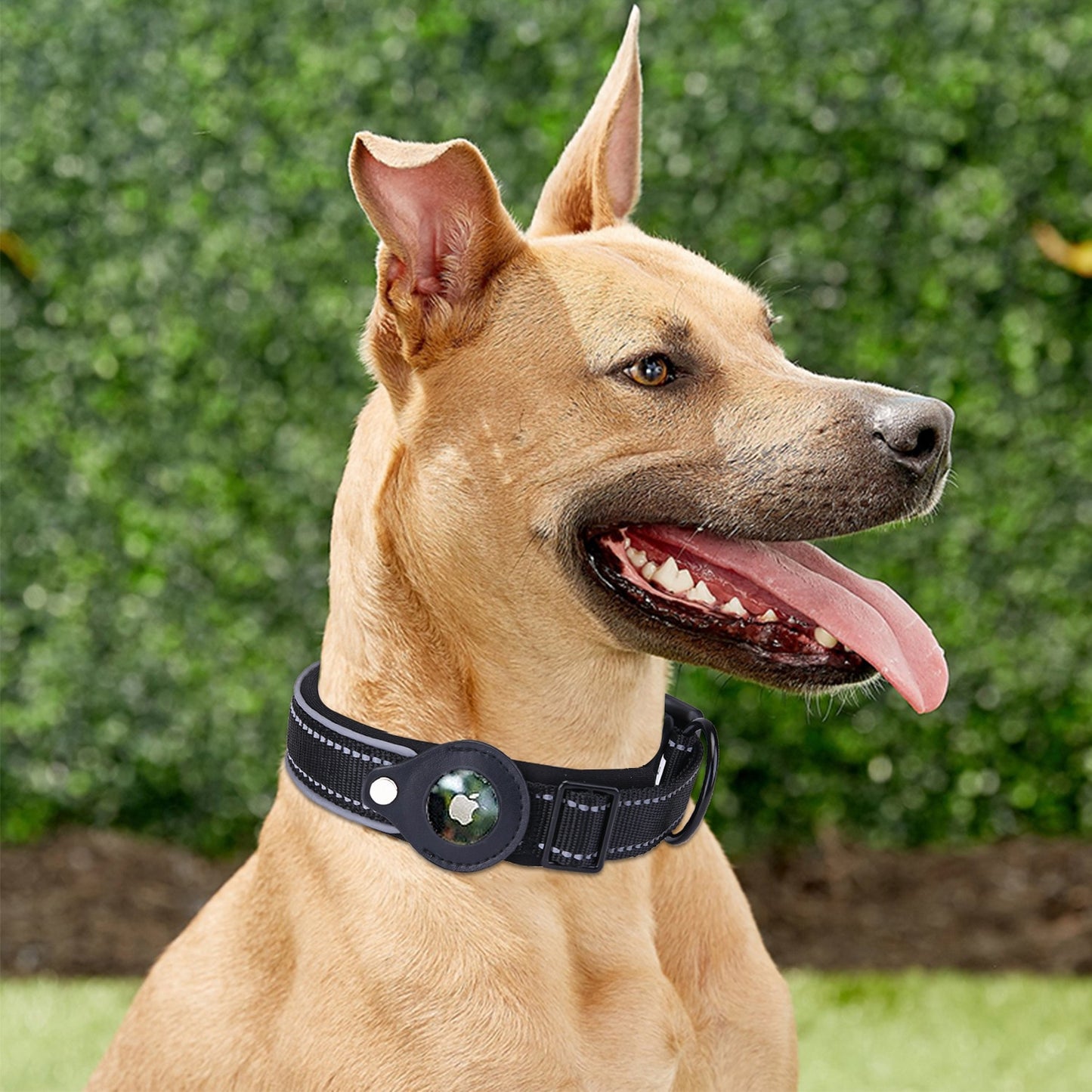 Dog Collar with Airtag Holder