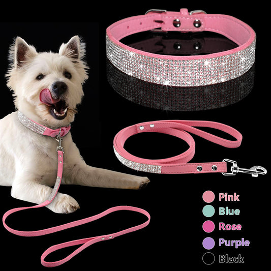 Pet Collar